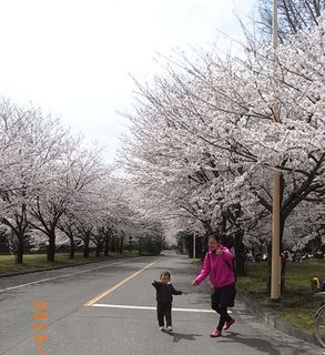 asaka6.jpg