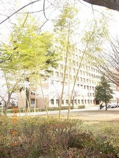 asaka7.jpg