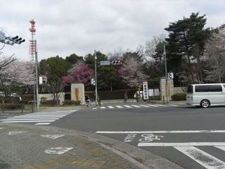 aska1.jpg