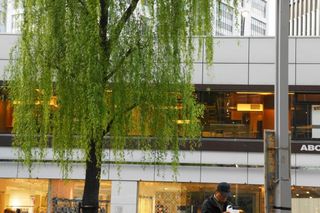 ginza15.jpg